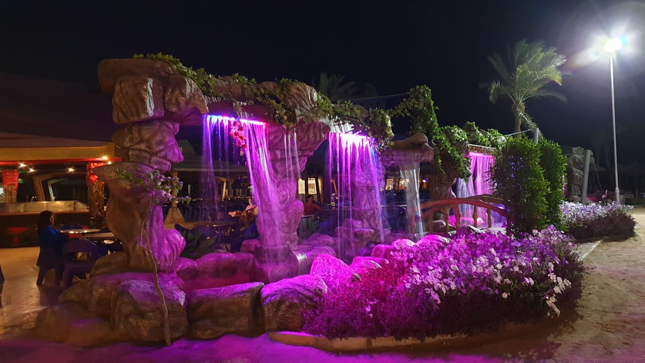 Gartenanlage Seagull Beach Resort