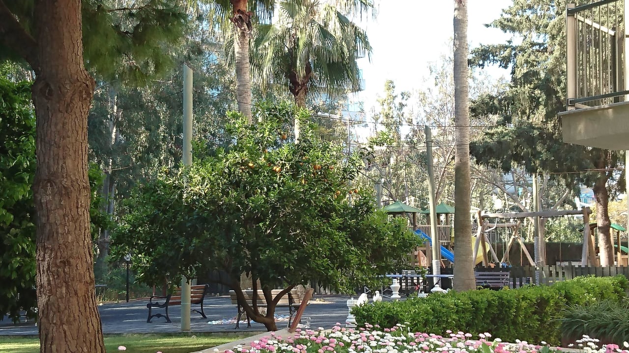 Blick beim Frühstück auf der Terrasse  Arum Barut Collection