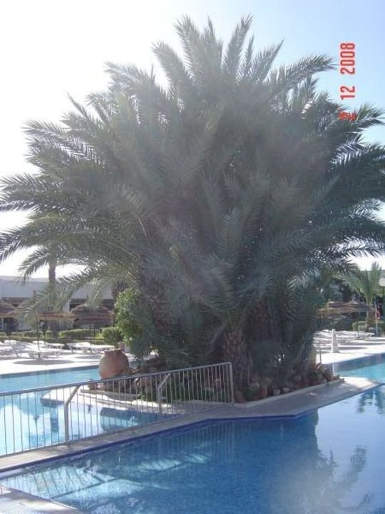 Pool Iberostar Waves Mehari Djerba