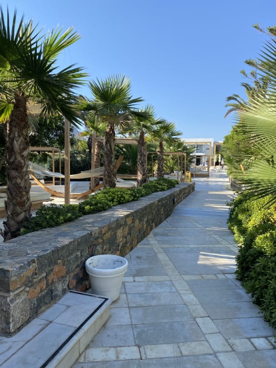 Gartenanlage The Island Hotel