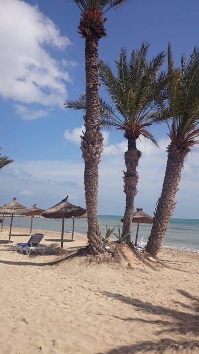 Wie in der Karibik Golf Beach Hotel & Spa