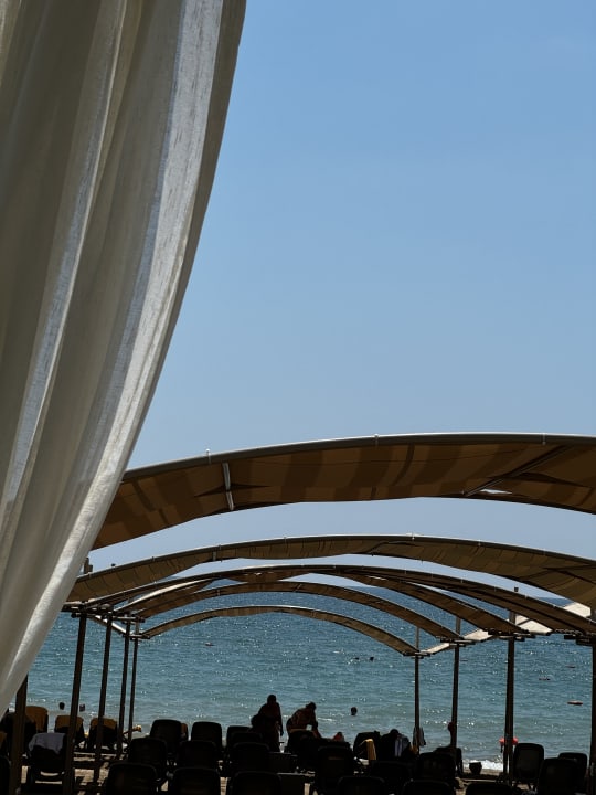 Außenansicht Papillon Ayscha