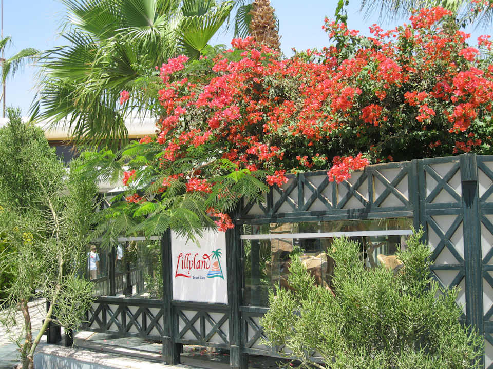 Lobbybar Mirage Bay Resort & Aqua Park