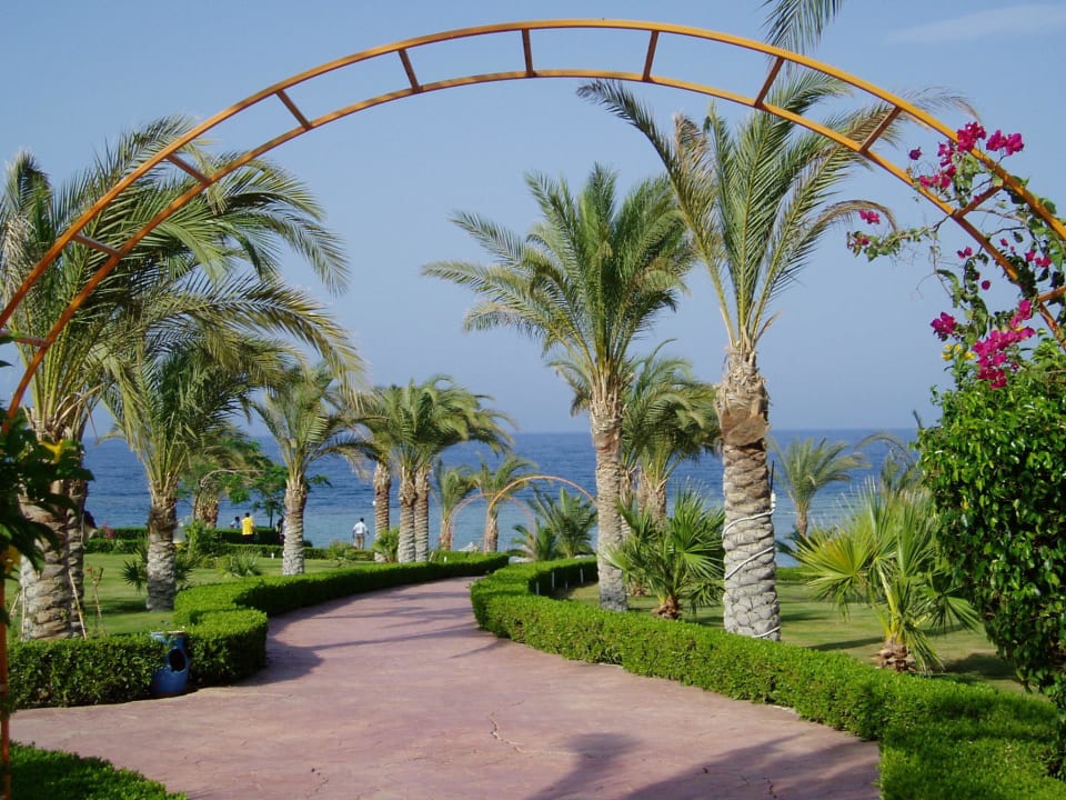 Gepflegte Gartenanlage Fantazia Resort Marsa Alam