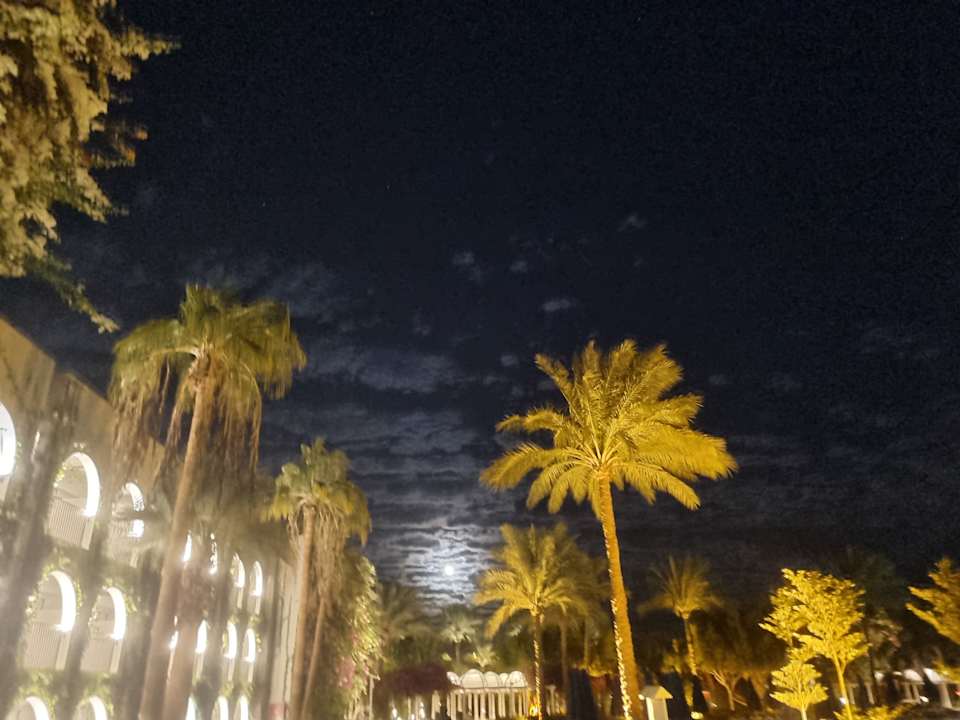 Gartenanlage Desert Rose