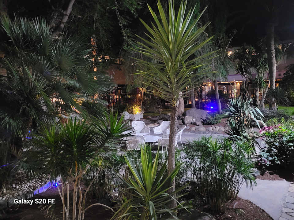 Gartenanlage Aldiana Club Fuerteventura