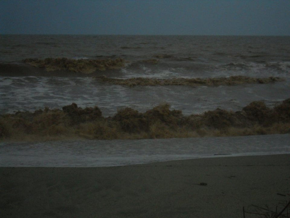 Schön sauber das Meer  Hotel Salice Club Resort