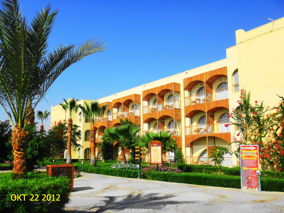 Пейзаж Desert Rose