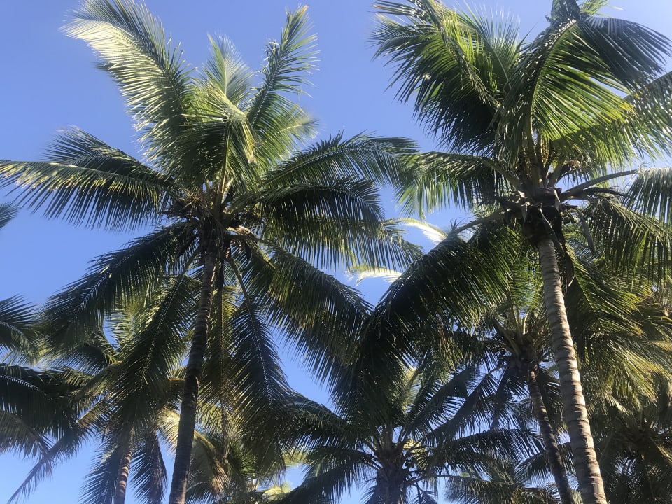 Außenansicht Marien Puerto Plata