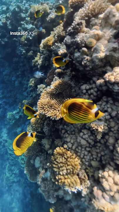 Strand Premier Le Reve Hotel & Spa