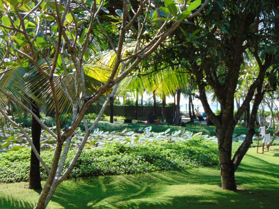 Gartenanlage Novotel Phu Quoc Resort