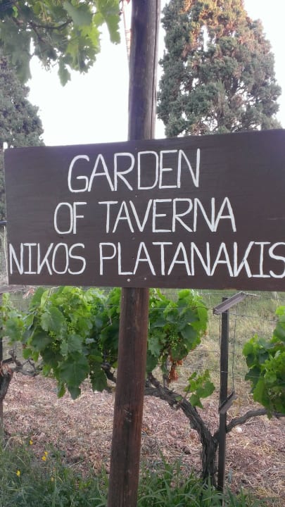 Gang durch einen gepflegten Garten zur Taverne Apartments Katerina