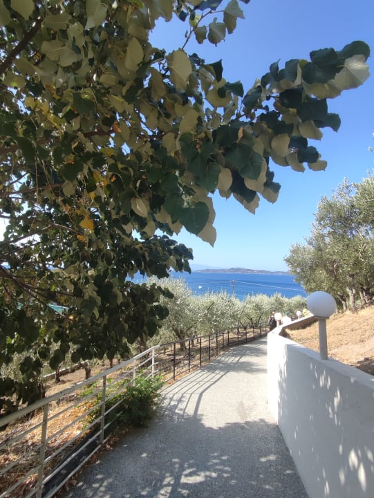 Strand Akrathos Beach Hotel