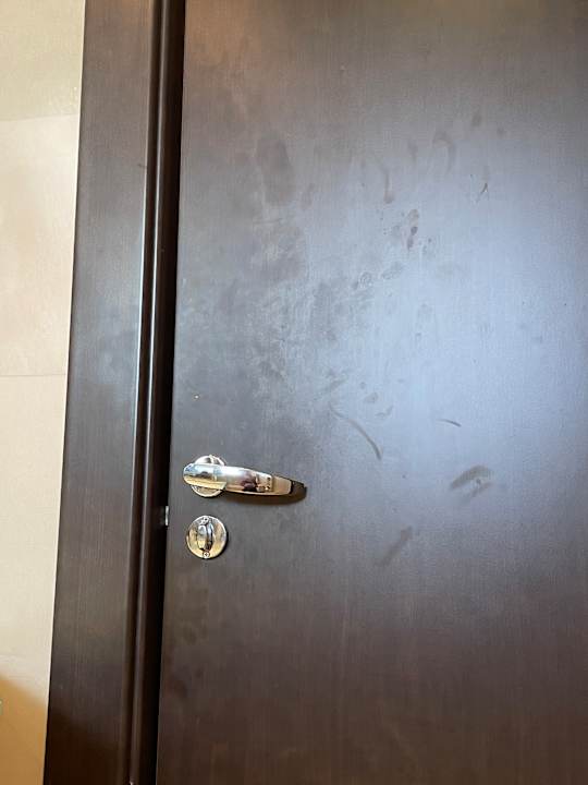 Zimmer NH Canciller Ayala Vitoria