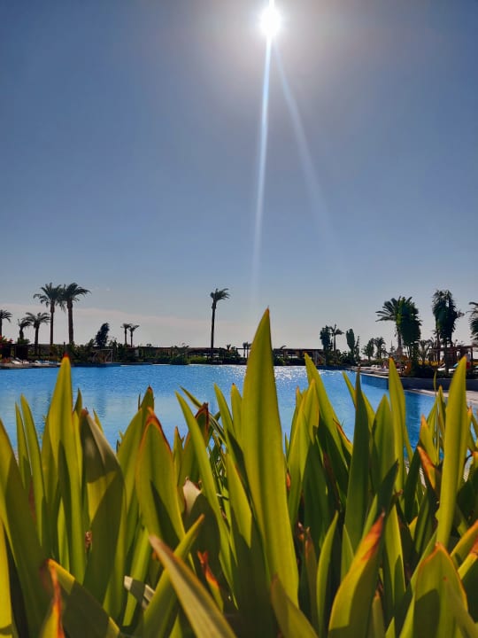 Pool Steigenberger Resort Ras Soma