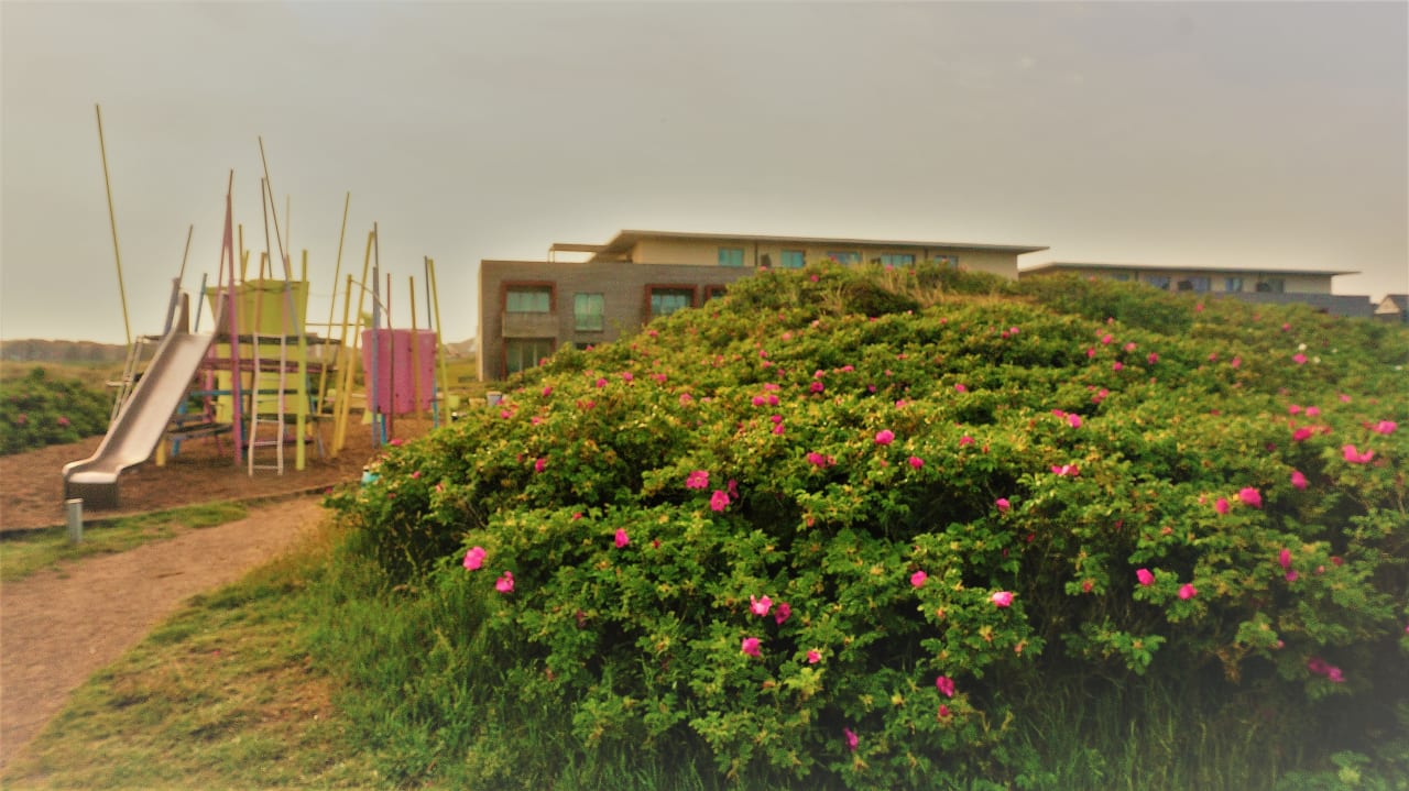 Gartenanlage Hapimag Resort Hörnum