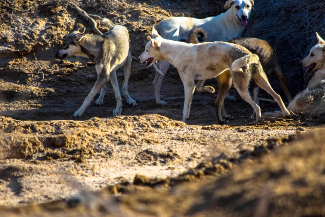Sonstiges Three Corners Equinox Beach Resort