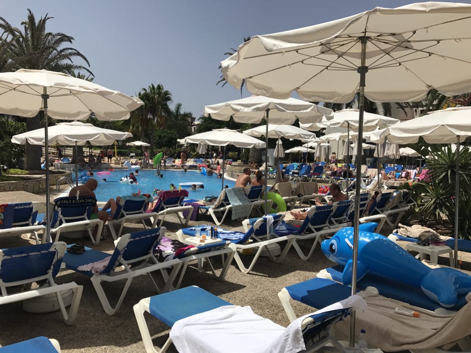 Pool Alua Suites Fuerteventura