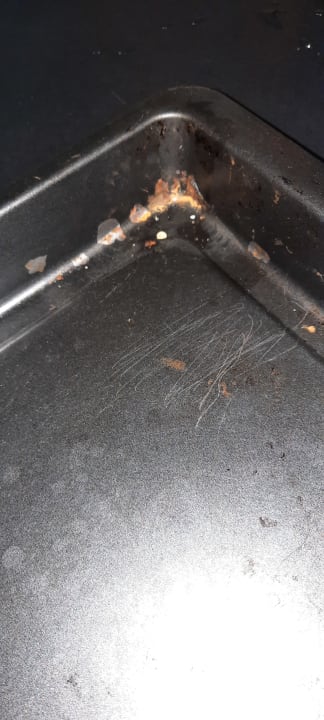 Sonstiges Ferienwohnung Grüne Oase