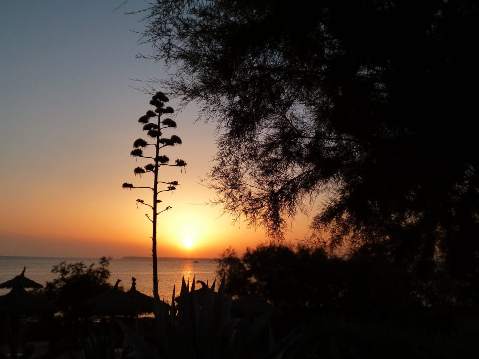 Traumhafte Sonnenuntergänge Bikini Island & Mountain Hotel Es Trenc