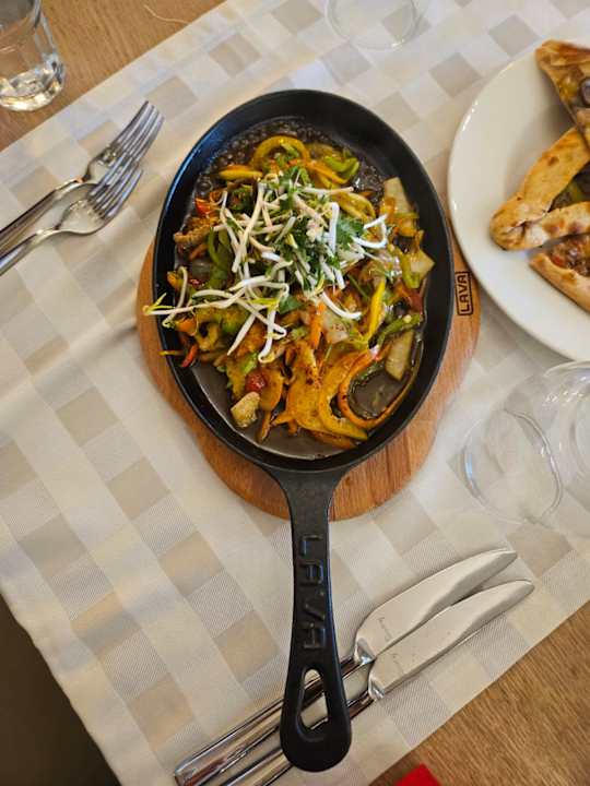 Gastro Seashell Vega