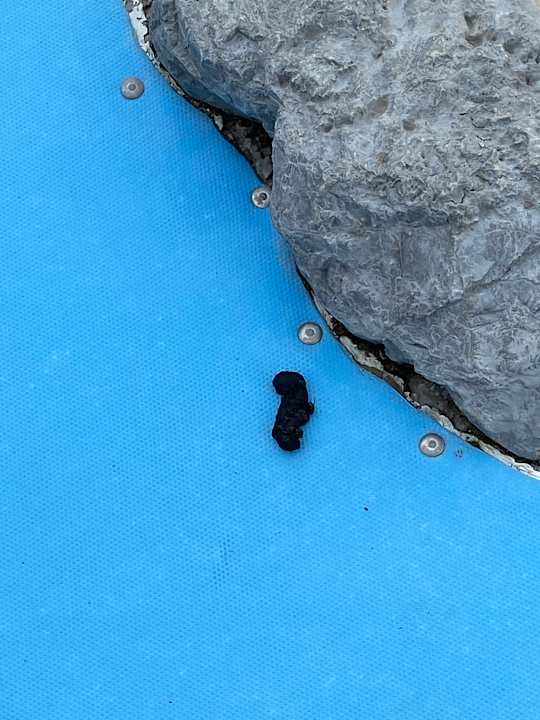 Pool Campingplatz Le Val de Bonnal