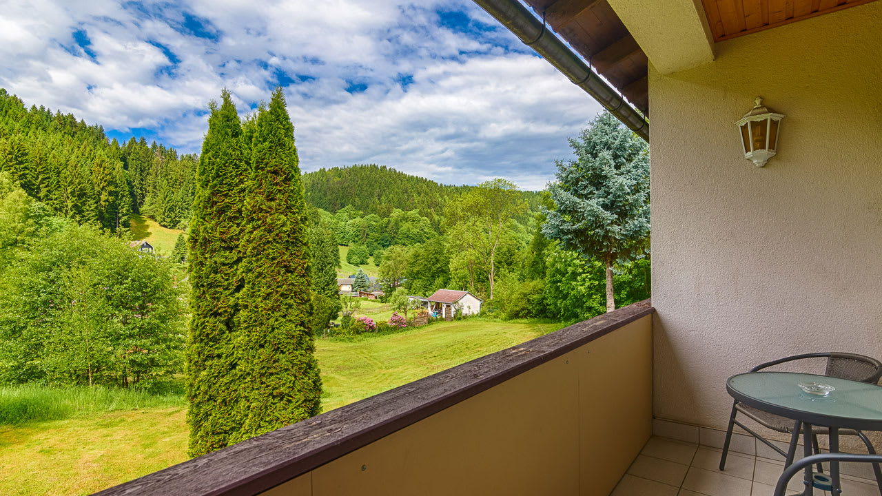 Ausblick Berghotel Mellenbach