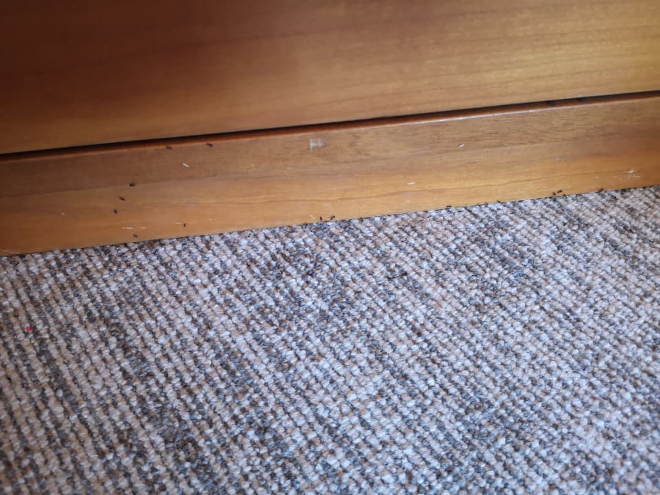 Zimmer TUI BLUE Xanthe