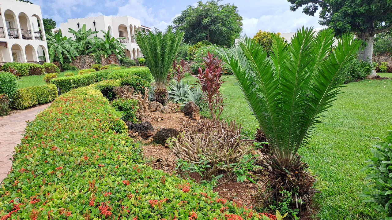 Gartenanlage Hotel Riu Palace Zanzibar