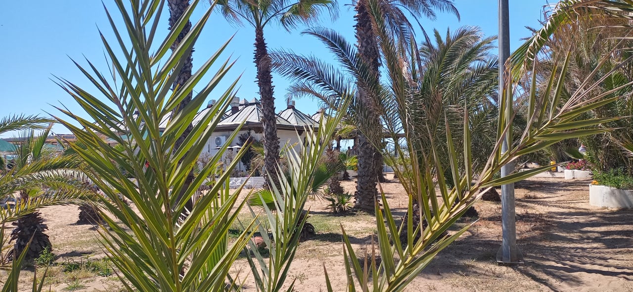 Strand Paloma Oceana