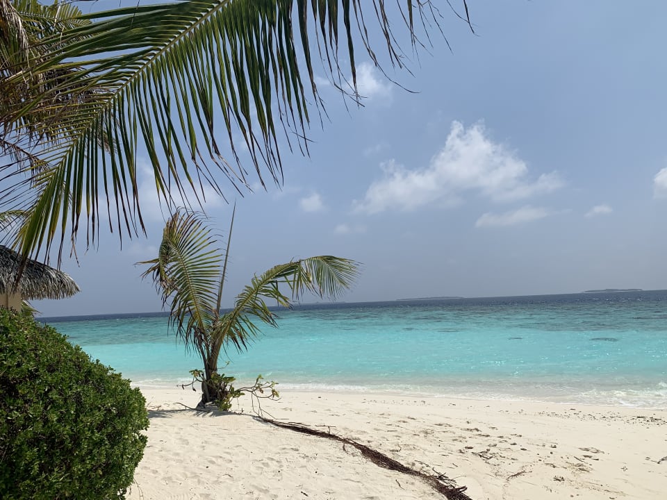 Strand Adaaran Select Meedhupparu Island Resort - Premium All Inclusive