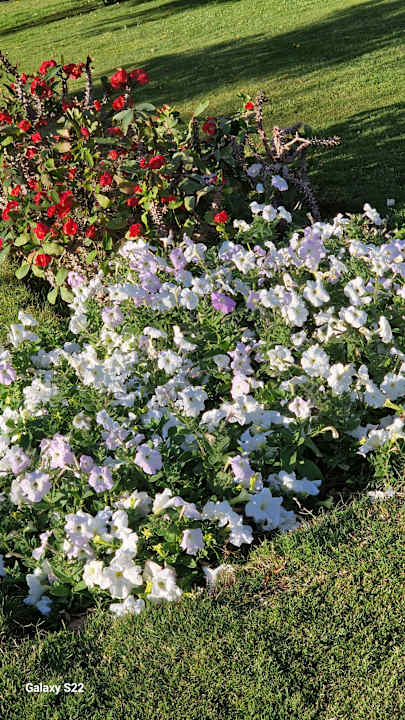 Gartenanlage Sentido Caribbean World Soma Bay
