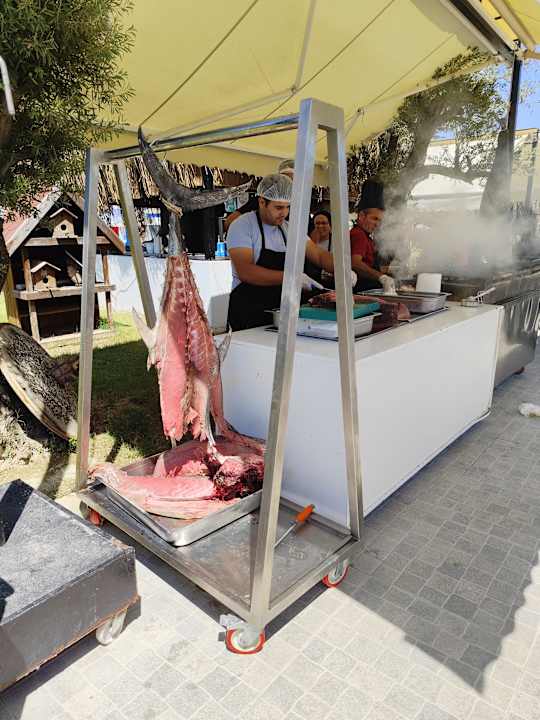 Gastro Dream Water World