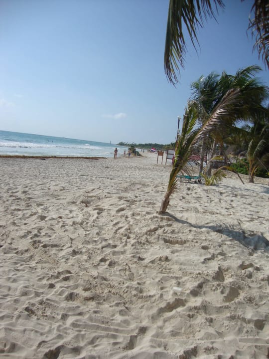 Hotel Catalonia Playa Maroma Catalonia Playa Maroma