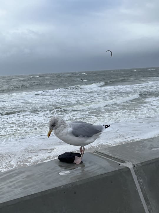 Strand Hapimag Resort Hörnum