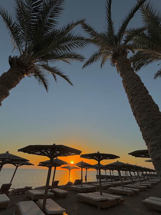 Ausblick Palm Beach Resort