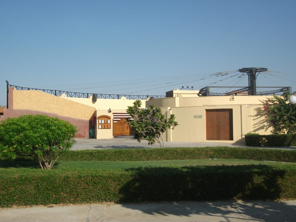 Amphitheater Desert Rose