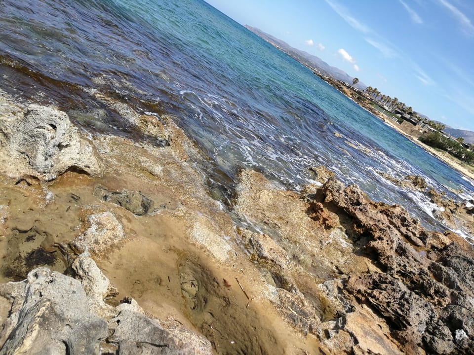 Strand Cactus Mare - Adults only