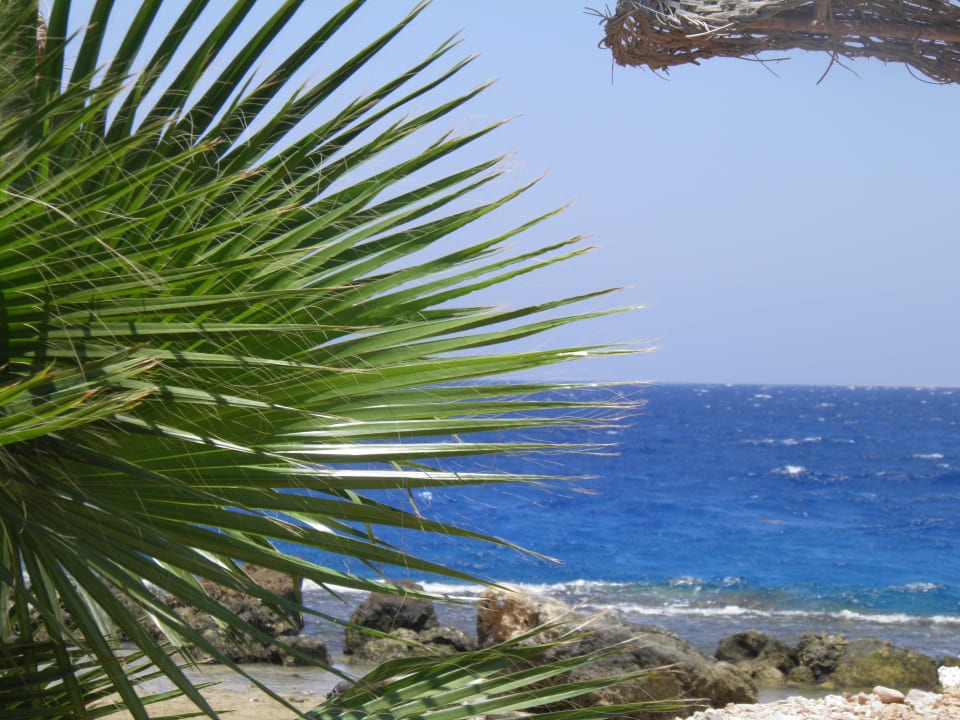 Beach number 1  Pickalbatros Citadel Resort