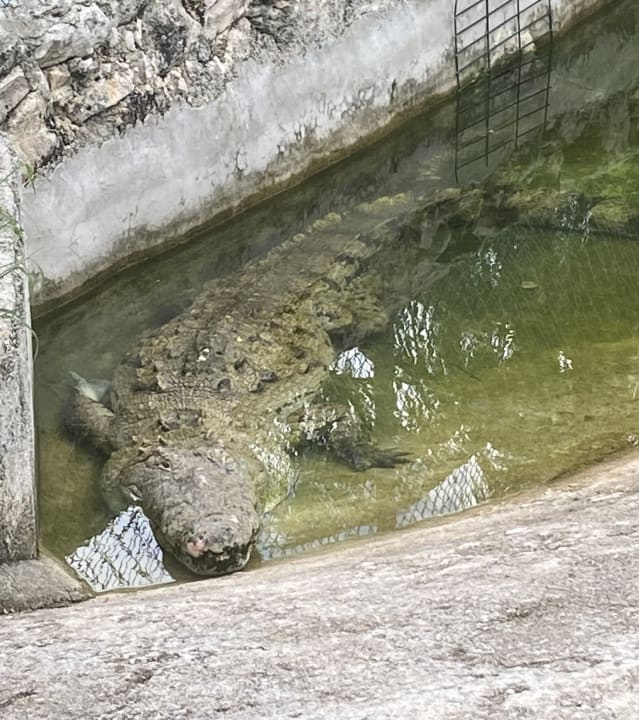 Gartenanlage Grand Palladium Select White Sand Resort & Spa