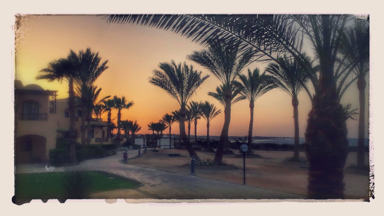 Abendstimmung Steigenberger Coraya Beach - Adults only