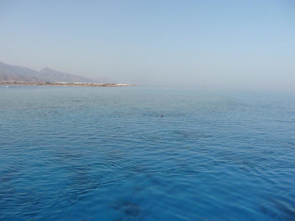 Ohne Worte JAZ Dahabeya