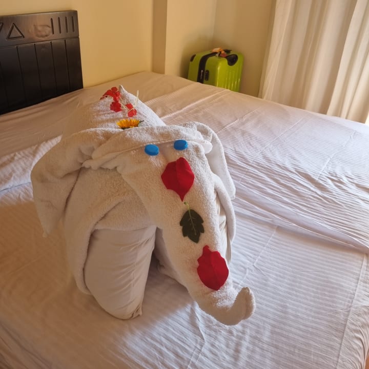 Zimmer Three Corners Sea Beach Resort