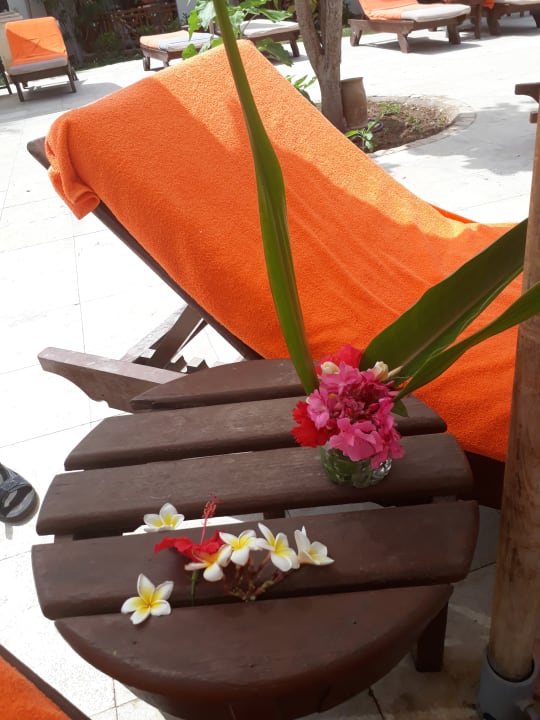 Pool Ghazala Gardens