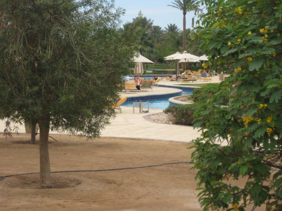 Lazy River davor schöne blühende Büsche Steigenberger ALDAU Beach Hotel