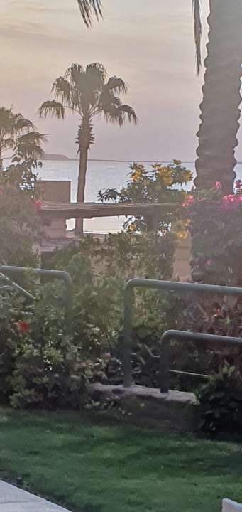 Gartenanlage Shams Prestige Abu Soma-Adults Only