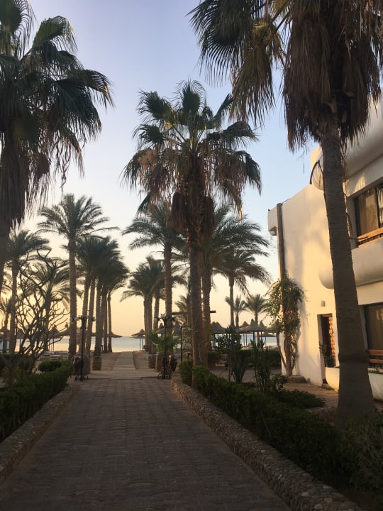 Strand Marlin Inn Azur Resort