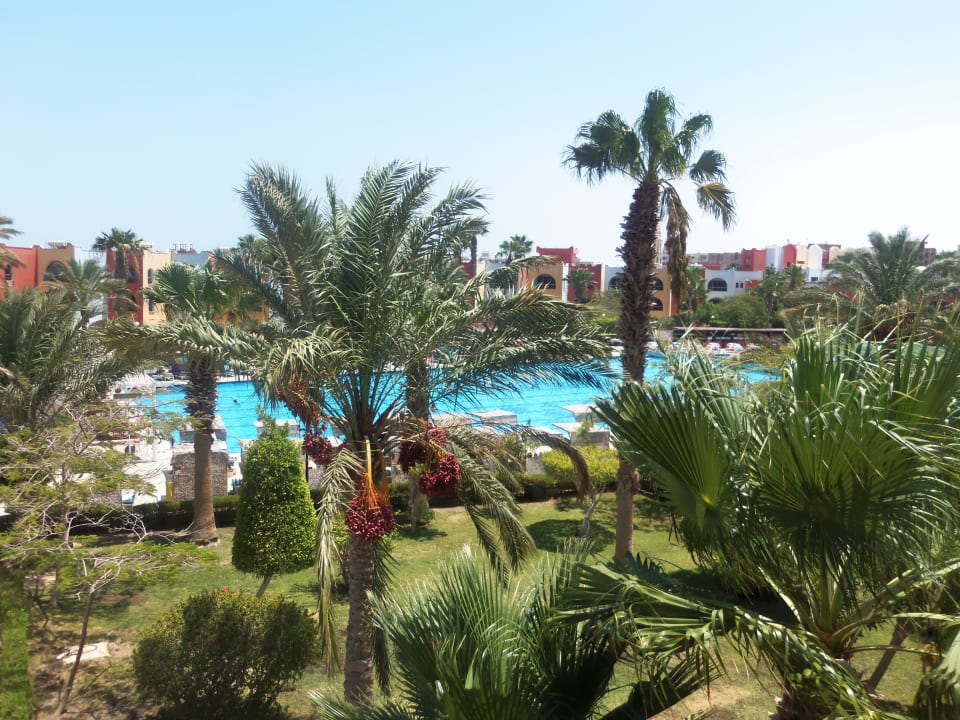 Вид на бассейн Arabia Azur Resort