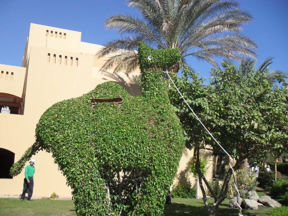 Kamel Hotel JAZ Makadi Star & Spa