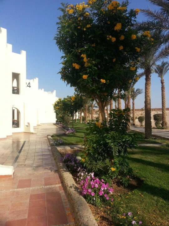Zahrada SUNRISE Royal Makadi Resort